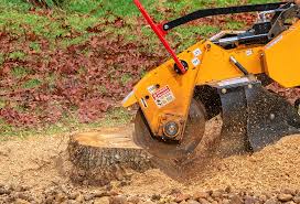 Best Tree Trimming and Pruning  in Walford, IA