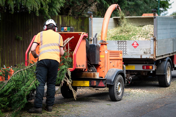 Best Lawn Watering Services  in Walford, IA